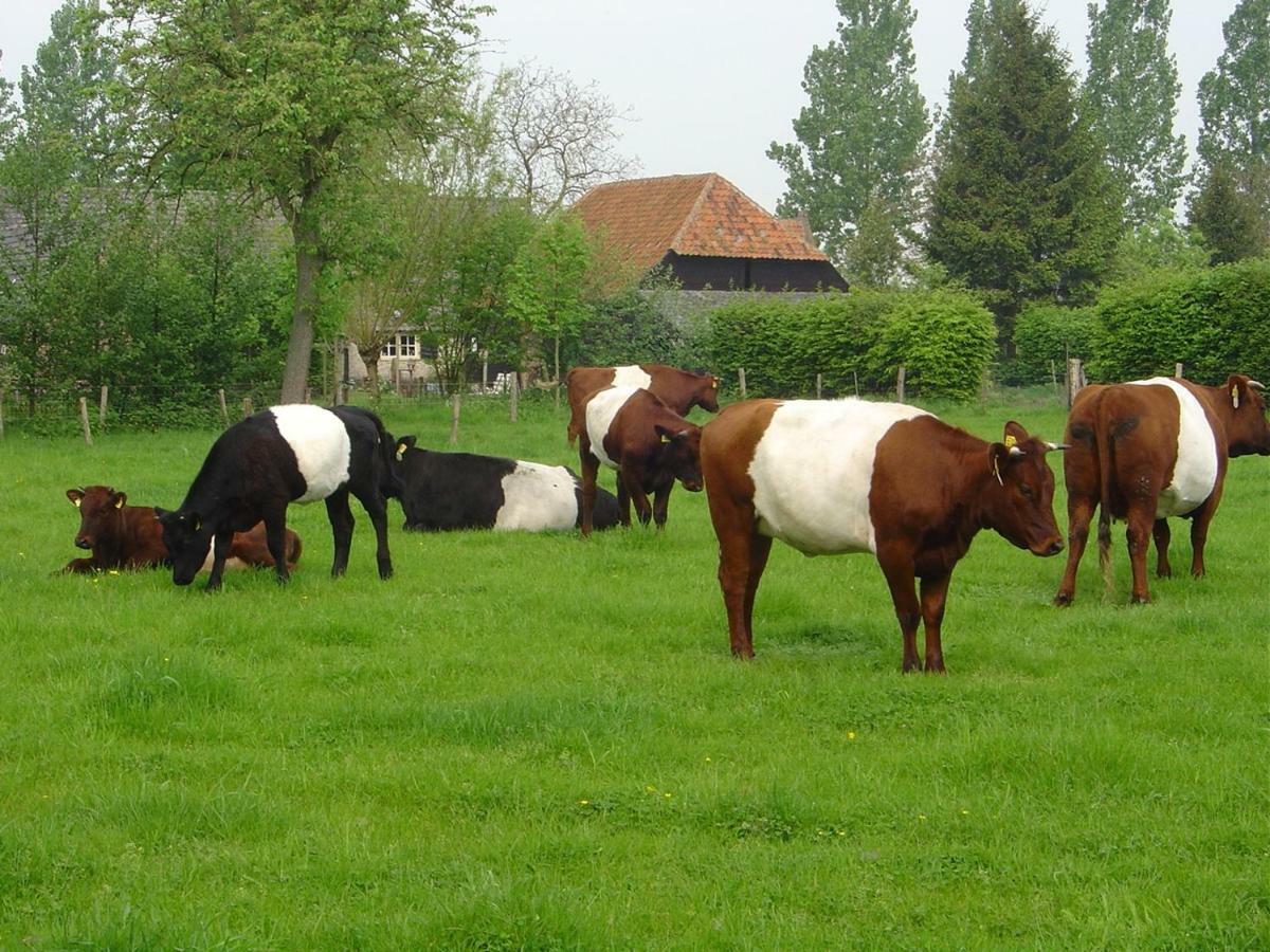 De Hopbel & Het Koevinkje Vila Liempde Exterior foto